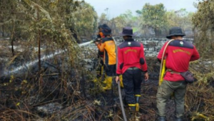 Musim Kemarau Hati-Hati…!!! BMKG Deteksi Ratusan Titik Panas di Kaltim