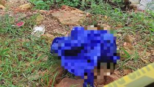 Bayi Dalam Tas Belanja Biru Ditemukan Warga Tenggelam di Kanal 2 Sangatta