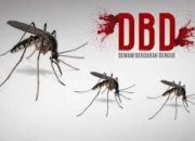 DBD Merebak, Yusuf Minta Minta Pencegahan Serius, Bukan Sekadar Fogging
