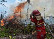 Ancaman Karhutla di Musim Kemarau, PDIP Desak Pemkot Bontang Perketat Pengawasan Lahan dan Perda Sampah
